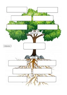 the family tree is shown in this graphic