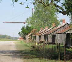 an old wooden shack sitting on the side of a dirt road next to a forest