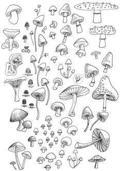 a bunch of mushrooms that are drawn in black and white, with different colors on them