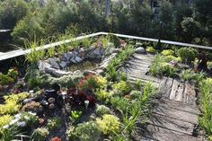 a garden with rocks, plants and water in the center is shown from above on a sunny day