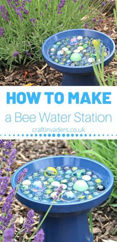 two blue bird bathes with rocks in them and the words how to make a bee water station