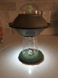 a fake cow under a glass dome on top of a counter