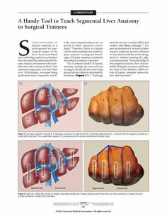 an article about how to use the surgical treatment for livers and their corresponding functions