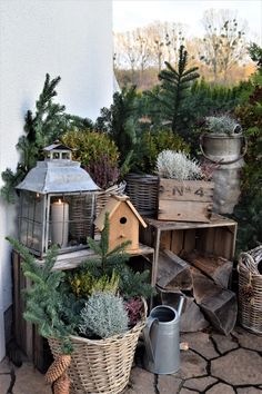 some plants and birdhouses are sitting on the ground