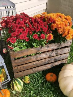 a wooden crate filled with lots of flowers next to pumpkins and gourds