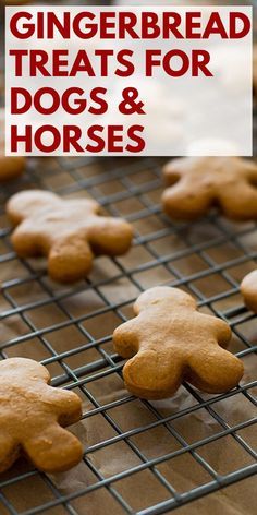 gingerbread treats for dogs and horses on a cooling rack with the title overlay