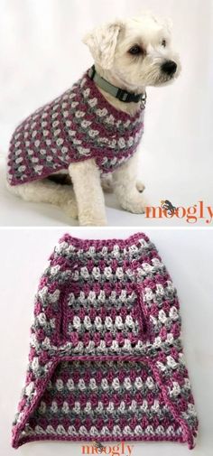 15 Crochet Dog Sweater Free Patterns & Instructions (With Photos)