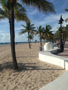 palm trees line the beach as people walk by