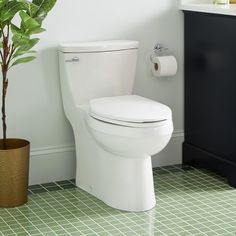 a white toilet sitting in a bathroom next to a green tiled floor with a potted plant