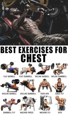 the best exercises for chest workout