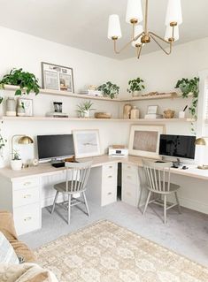 a home office with two computer desks and shelves on the wall above them, along with potted plants