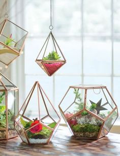 four hanging terrariums filled with plants on a table