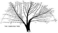 a black and white drawing of a tree with the words computer tree written on it