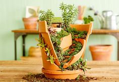 a potted plant on top of a wooden table