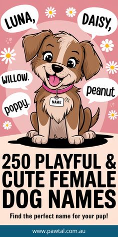 An illustration of a happy, playful female puppy sitting with a name tag. The puppy has brown fur and is wearing a pink collar. The puppy is surrounded by text bubbles with cute names like "Luna," "Daisy," and "Willow." The background is a soft pink hue. Overlaying the image is large, bold text that says "250 Playful & Cute Female Dog Names". The subtext below the main text reads "Find the Perfect Name for Your Pup!".