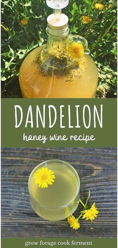 dandelion honey wine recipe in a glass bottle next to a flower