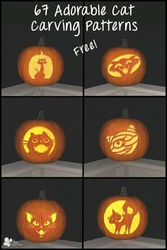 pumpkin carving instructions for cats and kittens