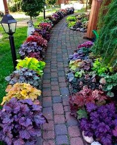 a brick pathway lined with lots of colorful flowers