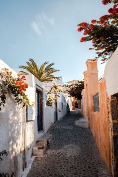 an alley way with white buildings and red flowers growing on the trees in front of it