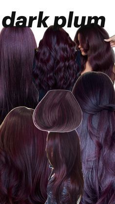 Hair Color Ideas Dark Colors, Fall Black Hair Color Ideas, Fall Plum Hair, Shoulder Length Balayage Dark, Cool Toned Plum Hair, Red Rinse On Black Hair, Japanese Hair Dye Colour, Plum Purple Balayage, Plum Chocolate Hair Color