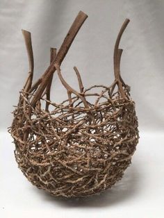 a bird's nest made out of branches and twigs on a white background,