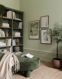 a living room filled with furniture and bookshelves next to a plant in a pot