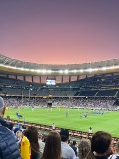 a stadium filled with lots of people watching a soccer game