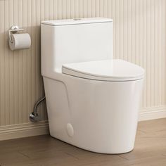 a white toilet sitting next to a wall with a roll of toilet paper on it