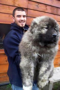 a man is holding a large fluffy dog