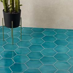 a potted plant sitting on top of a blue tiled floor