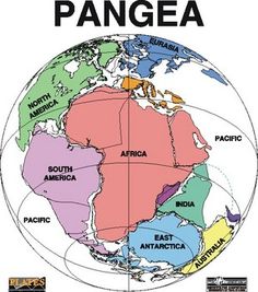 the world map with countries labeled in different colors