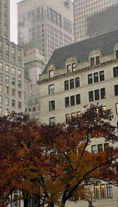 an image of a city street scene with buildings in the back ground and trees on the other side