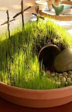 a potted plant with grass growing out of it and rocks in the ground next to it