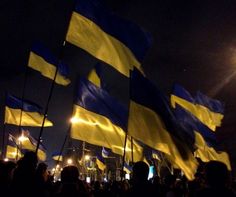 many people are holding flags in the dark