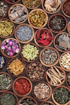 many bowls filled with different types of herbs