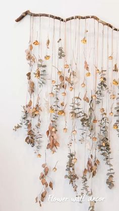 a bunch of plants hanging from the side of a wall next to a branch with leaves on it