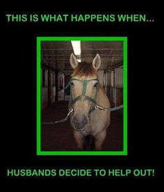 this is what happens when the husband decides to help out with his horse's bridle