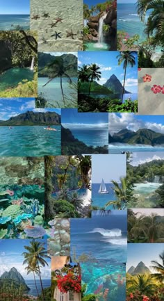 a collage of photos with tropical scenes