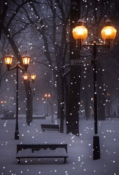 a snowy night with street lights and benches in the foreground, snow flakes falling all around