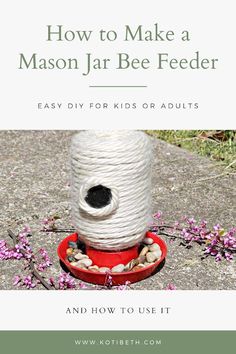 a bird feeder with the words how to make a mason jar bee feeder easy diy for kids or adults and how to use it