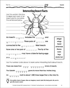 an insect worksheet with the words interesting insects