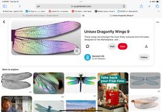 an image of dragonfly wings on the web page