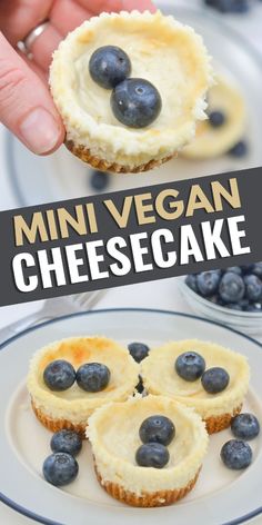 Easy baked vegan cheesecake recipe is easy to make with dairy free alternatives. Add fruits and or nuts to increase the flavor. Vegan Mini Cheesecake, Vegan Cheesecake Bites, Unique Cheesecake Recipes, Dairy Free Cheesecake, Quick Cookies Recipes, Vegan Cheesecake Recipe, Cheesecake Dessert, Dairy Free Alternatives, Amazing Desserts