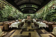 an indoor dining area with tables, chairs and plants growing on the wall behind them