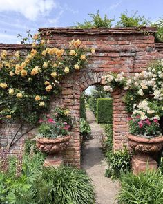 an archway in the middle of a garden filled with flowers