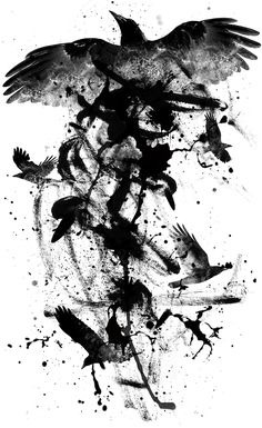 black and white ink drawing of two birds on top of each other with their wings spread out