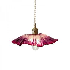 a pink flower hanging from a light fixture