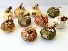 small pumpkins with labels on them sitting on a white counter top, all decorated in different colors and sizes