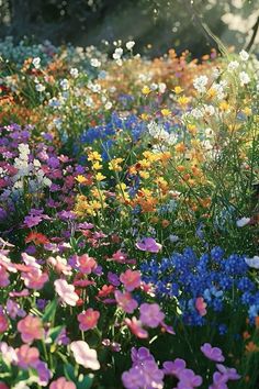 a field full of colorful flowers with trees in the background