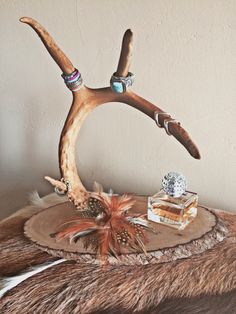 Cabin Vanity, Deer Antler Jewelry Holder, Antler Jewelry Holder, Antler Projects, Deer Antler Jewelry